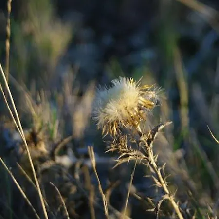 Panzió La Dourmide Méjannes-le-Clap
