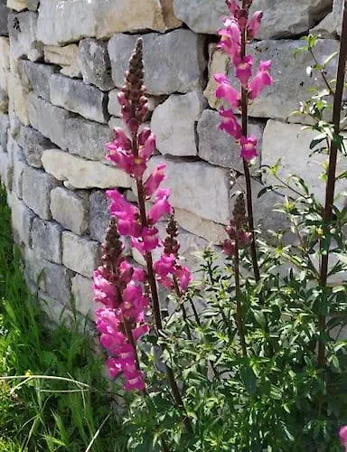 La Dourmide 3*